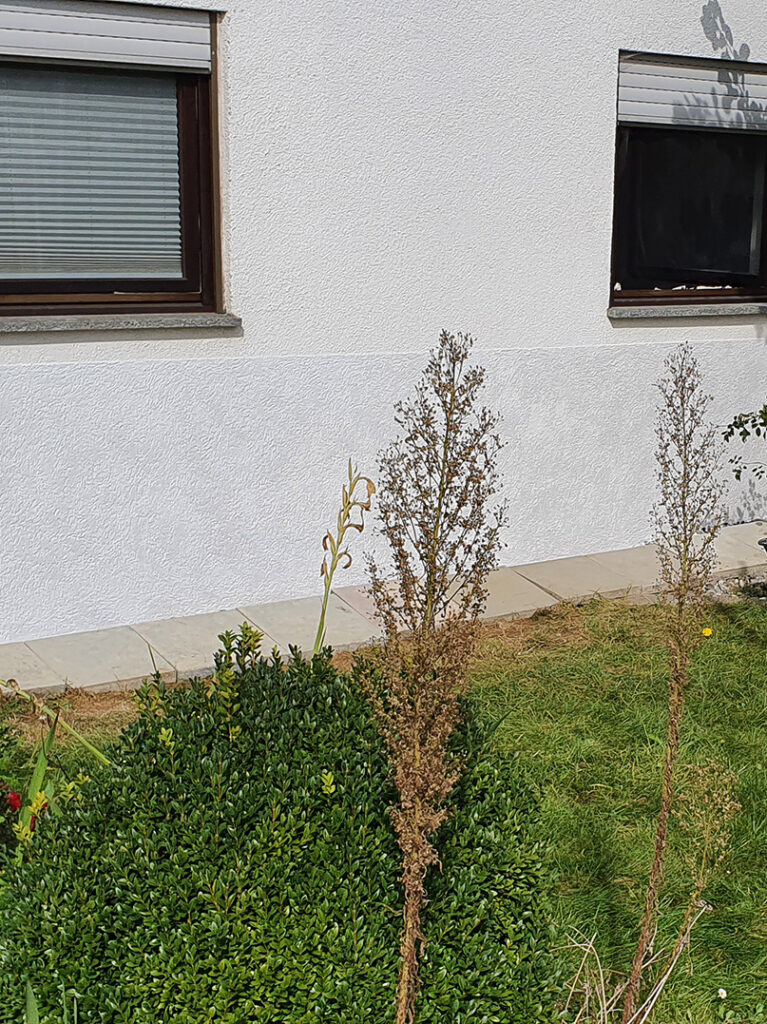 kewabo deutschland gmbh essen referenzen